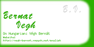 bernat vegh business card