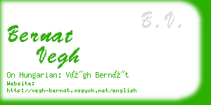 bernat vegh business card